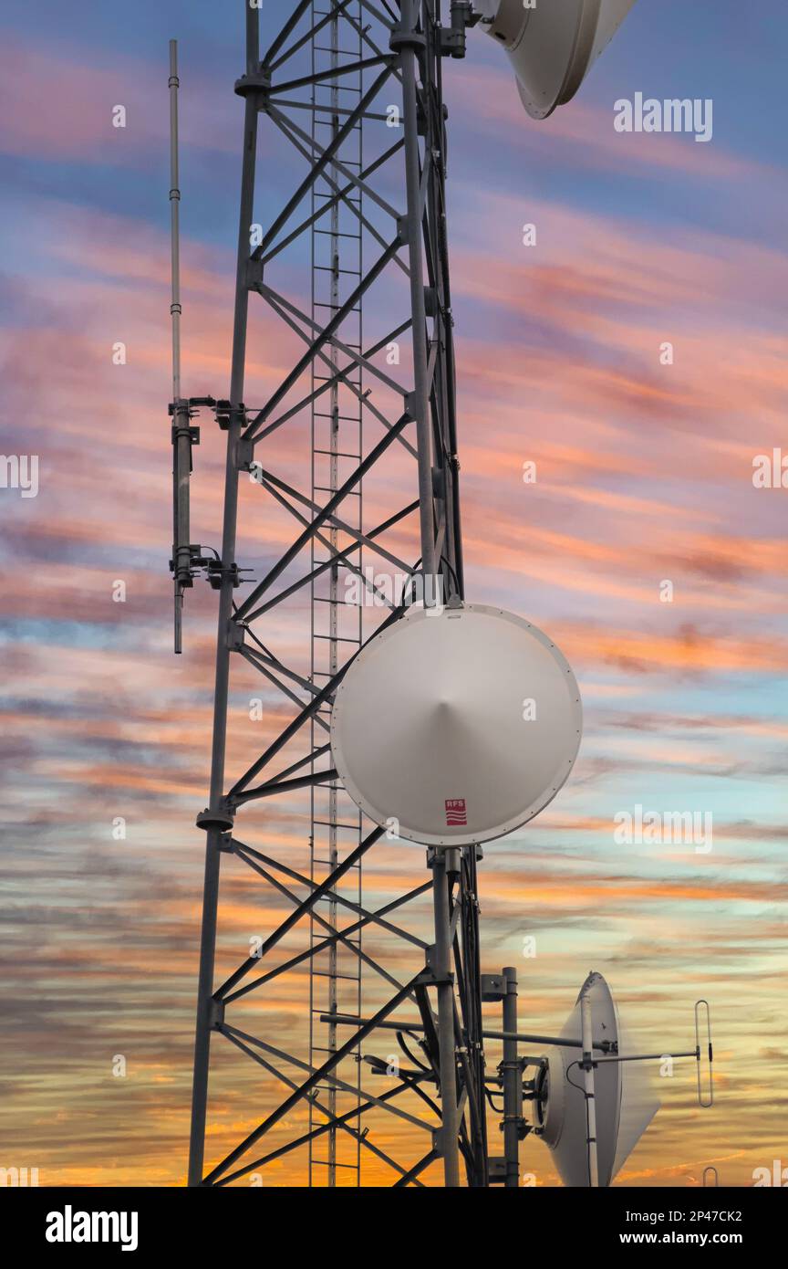 Wayne, Illinois, Stati Uniti. Una moderna torre cellulare dotata di più dispositivi e moduli per fornire la tecnologia necessaria per la comunicazione. Foto Stock