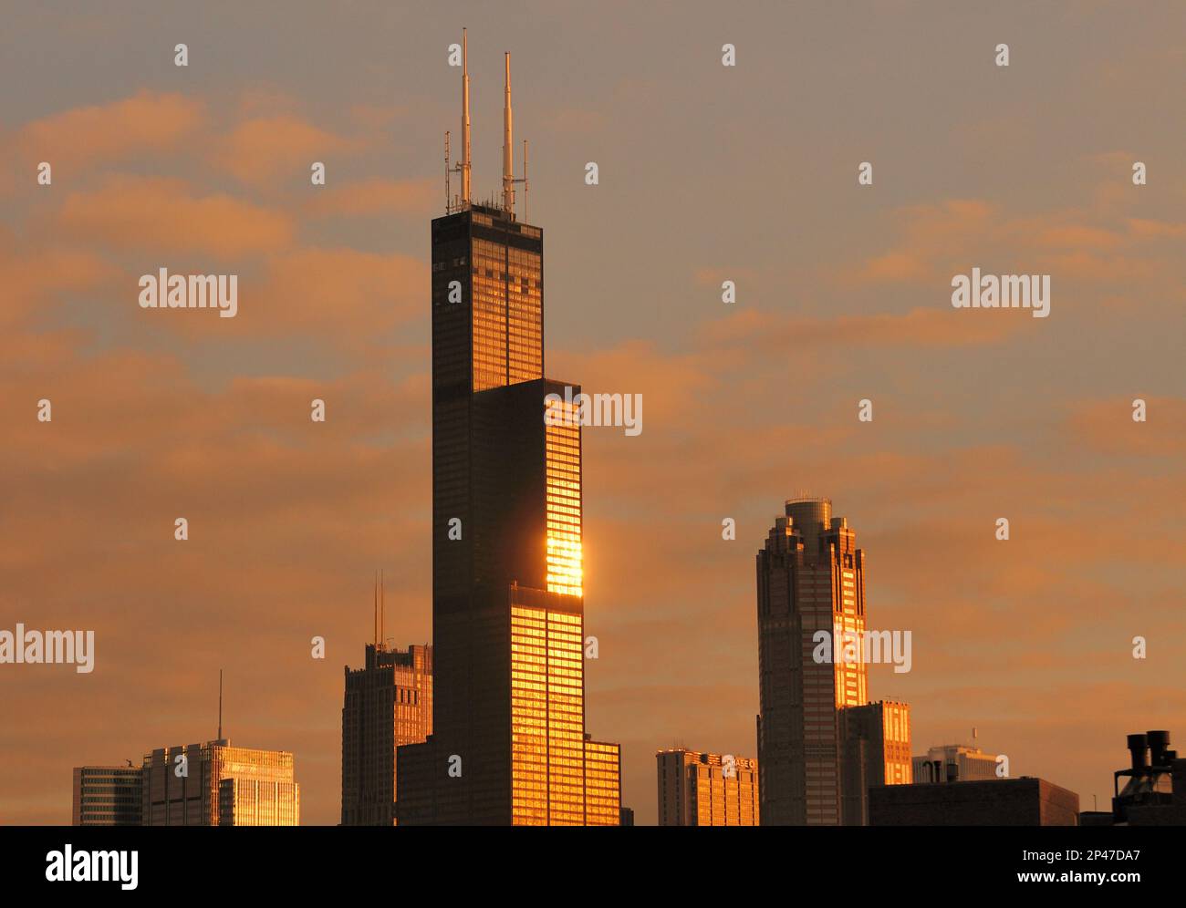 Chicago, Illinois, Stati Uniti. La Willis Tower (ex Sears Tower) splendente nel sole di un giorno nuovo, nel cielo sud-orientale di una mattina di dicembre. Foto Stock