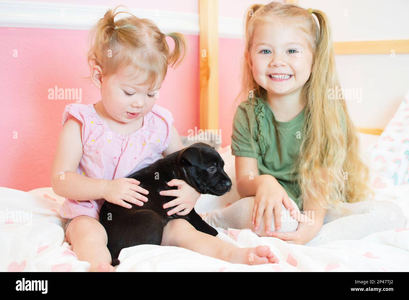 Due bambini giocano con un cucciolo. Bambini con un animale. Ragazze felici che tengono un cane Foto Stock