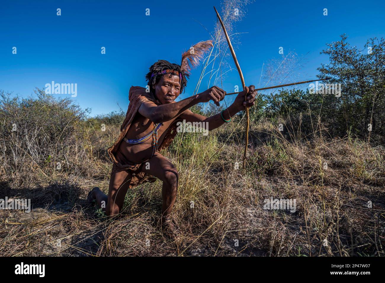 Africa, Botswana, deserto di Kalahari. Anche se non è più legalmente autorizzato a cacciare, questo !Kung cacciatore, mostra come usano il loro arco e freccia. Foto Stock