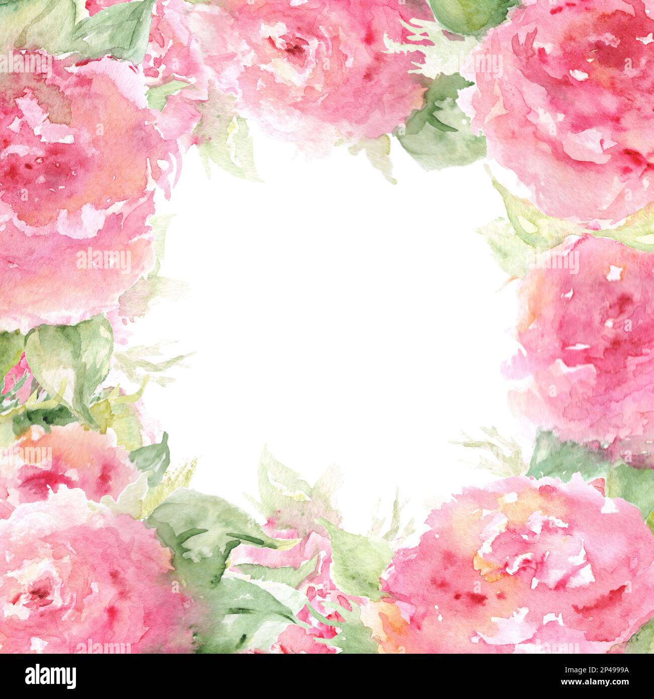 Acquerello rosa tè rosa peonia fiore composizione floreale cornice. Foto Stock