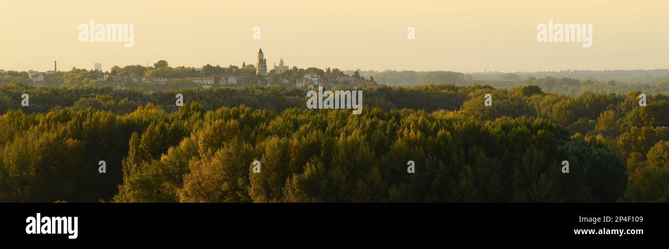 La Torre Gardos, conosciuta anche come Millennium Tower e la città di Zemun sul paesaggio boschivo dell'isola della Grande Guerra al tramonto autunnale Foto Stock