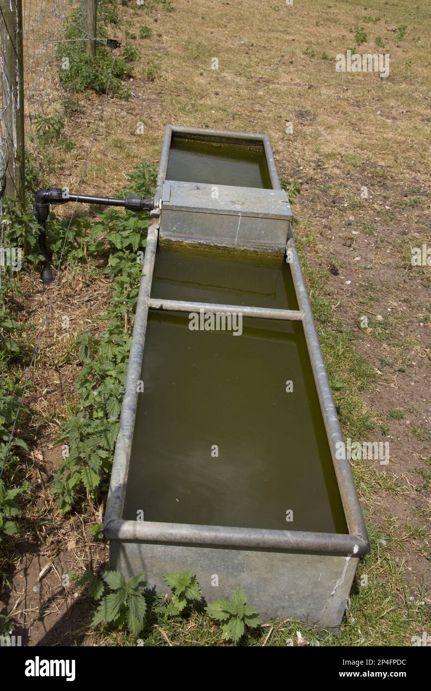 Water trogolo, acqua trogoli, cantiere di fattoria waterier Foto Stock
