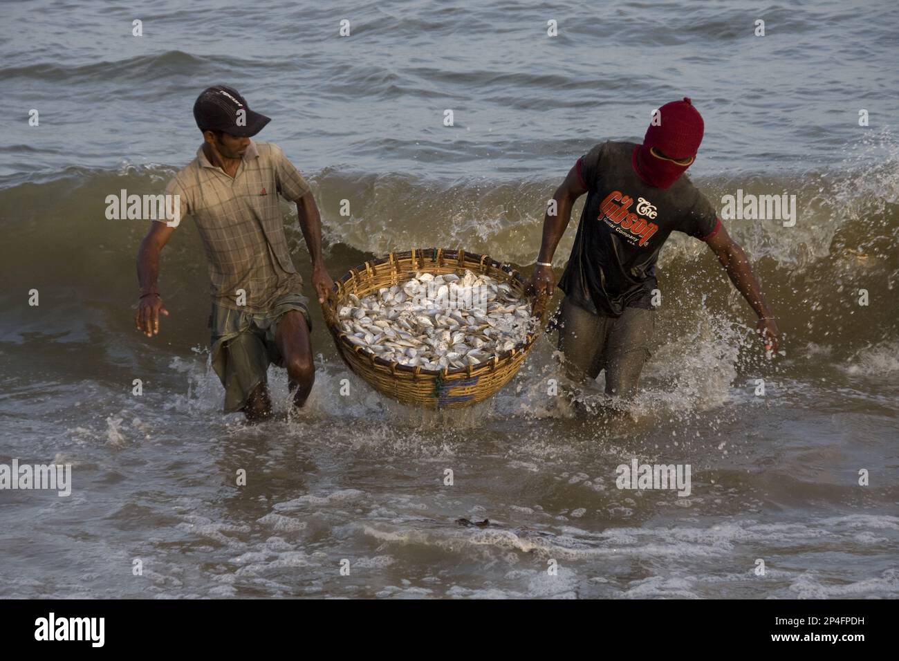 Pescatori dello Sri Lanka con un cesto di pesce appena pescato Foto Stock
