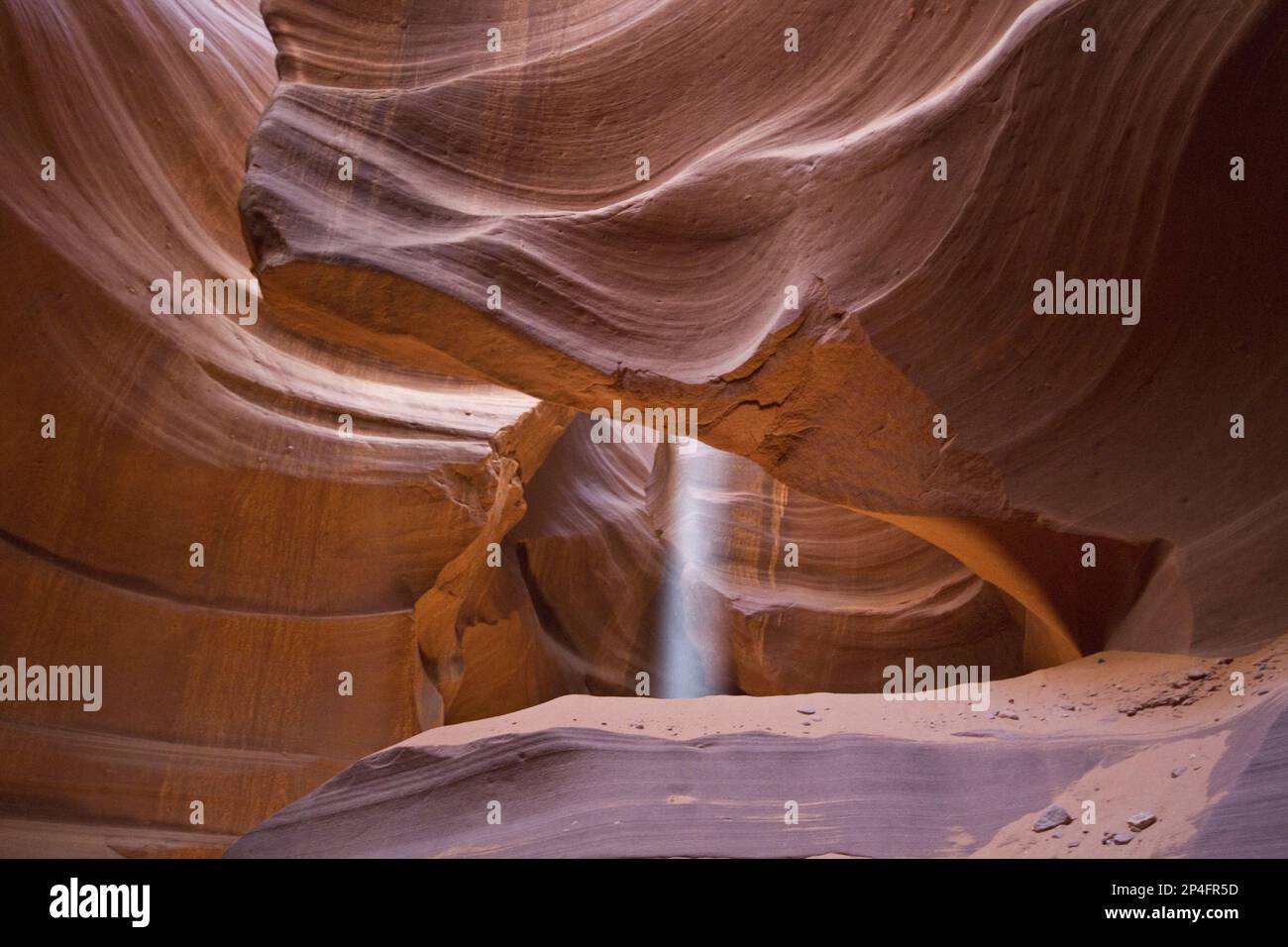 Il fascio di luce nell'Antelope Canyon superiore era formato dall'erosione dell'arenaria Navajo, principalmente a causa delle inondazioni in cui, durante la stagione monsonica, l'acqua piovana Foto Stock