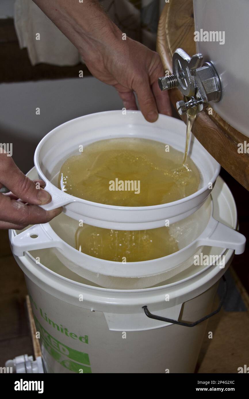 Dopo aver centrifugato il miele dal pettine, questo viene filtrato attraverso due filtri nel tamburo di conservazione, dove il filtraggio rimuove tutti i residui indesiderati Foto Stock