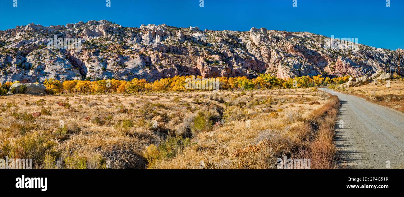 The Cockscomb, cottonwood Trees in Fall Foliage, Cottonwood Canyon Road, Grand Staircase Escalante National Monument, Utah, USA Foto Stock