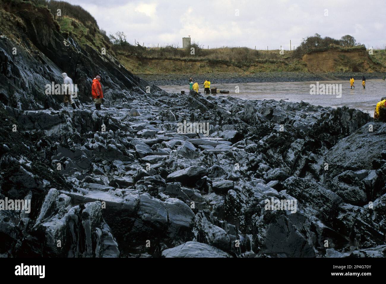 Operazione di pulizia sulle coste rocciose coperte di petrolio dopo il disastro di Sea Empress, West Angle, Pembrokeshire, Galles, Regno Unito Foto Stock