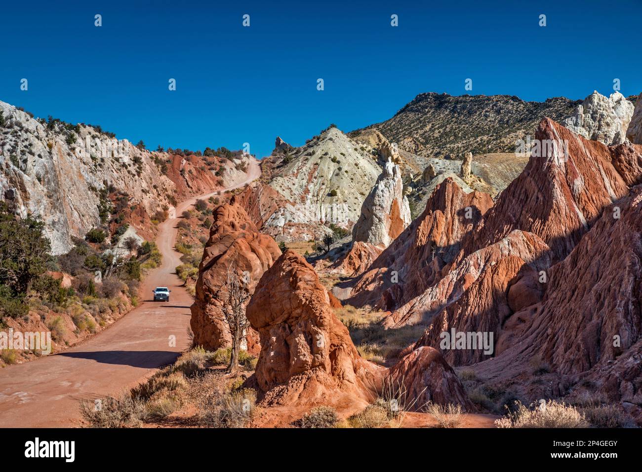 Candyland, Cottonwood Road nel Cottonwood Canyon, il Cockscomb in Distance, il monumento nazionale Grand Staircase Escalante, Utah, USA Foto Stock