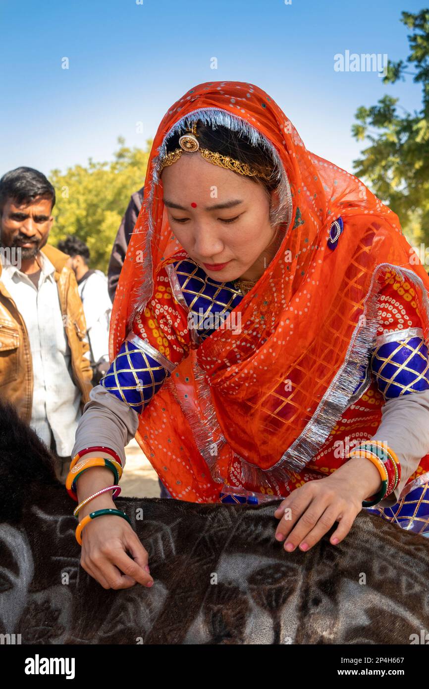 India, Rajasthan, Bikaner, Camel Festival, artista giapponese Megumi Takeichi, finitura rasata decorazione cammello Foto Stock