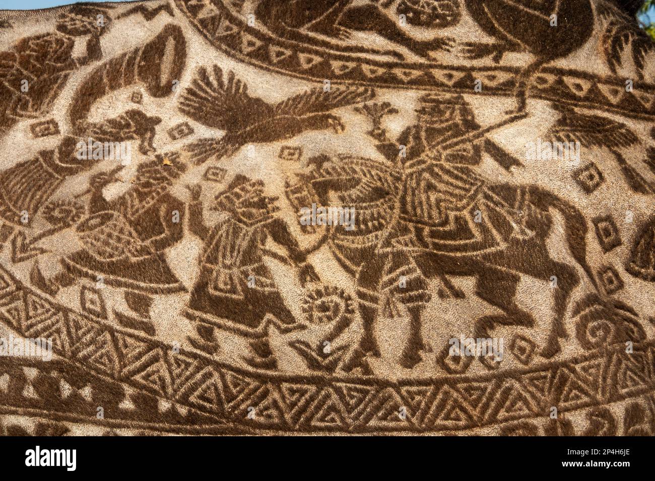 India, Rajasthan, Bikaner, Camel Festival, cammello con decorazione rasata da parte dell'artista giapponese Megumi Takeichi, parrucchiere stilista di capelli a cui si reca Foto Stock