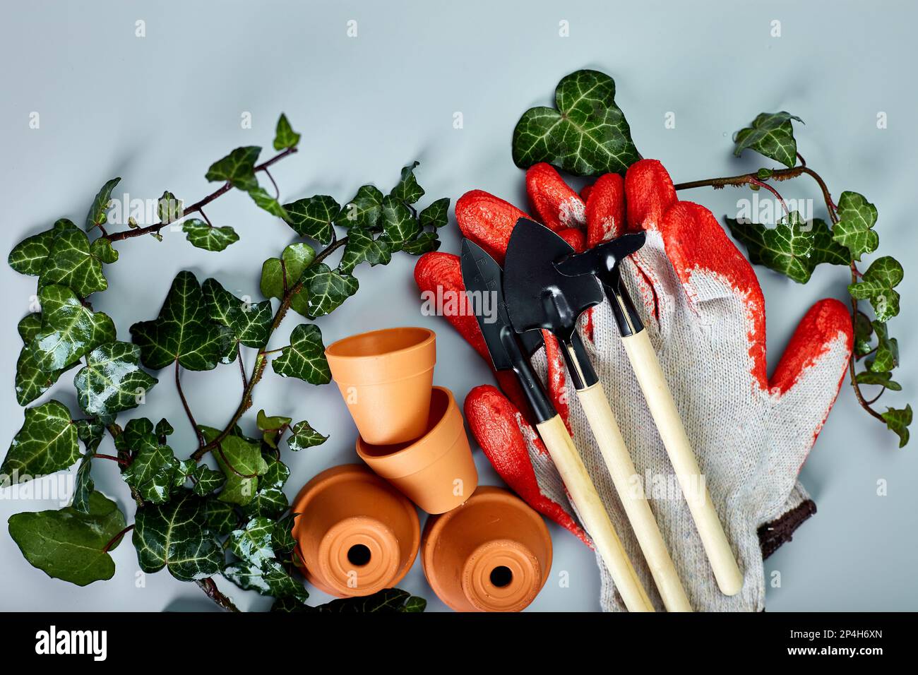 Piccoli vasi di fiori in ceramica, guanti, attrezzi da giardinaggio e foglie verdi su sfondo grigio, concetto di lavori del giardino primaverile, posa piatta, vista dall'alto, spazio copia. Foto Stock