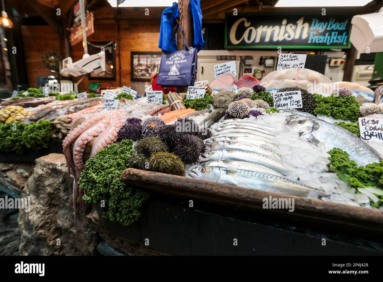 Cornish Day Boat mare e pesce conchiglia, Borough Market, Londra. Foto Stock