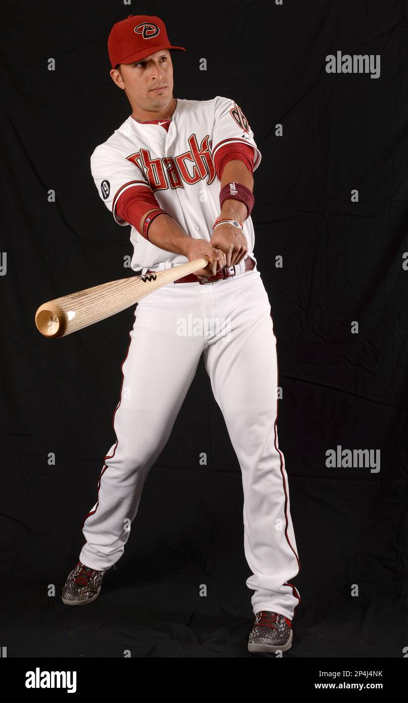 Arizona Diamondbacks Martin Prado (14) at media photo day during spring training on February 19, 2014 in Scottsdale, AZ Foto Stock