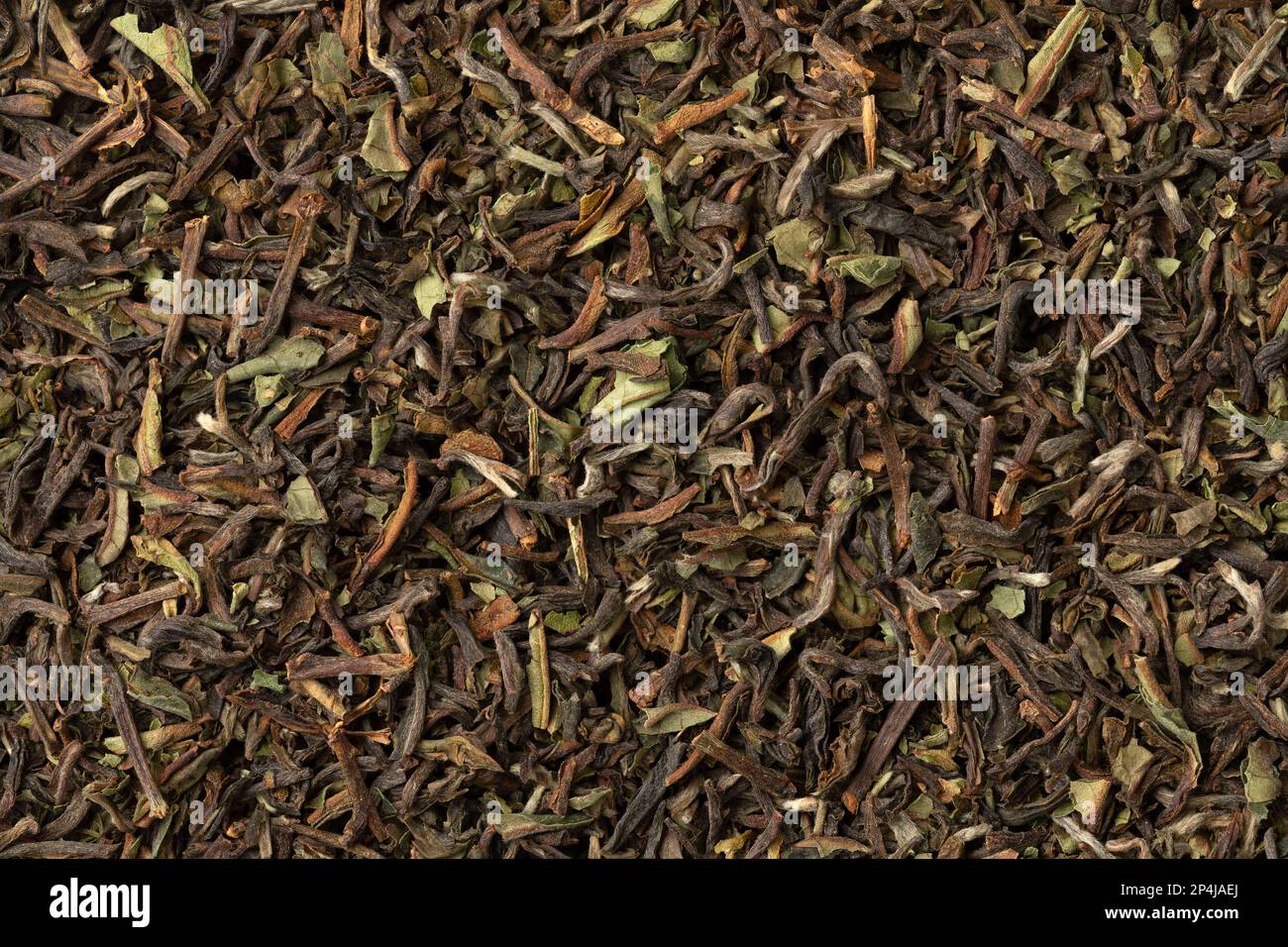 Organico Nepal Oolong Jun Chiyabari foglie di tè essiccato full frame primo piano come sfondo Foto Stock