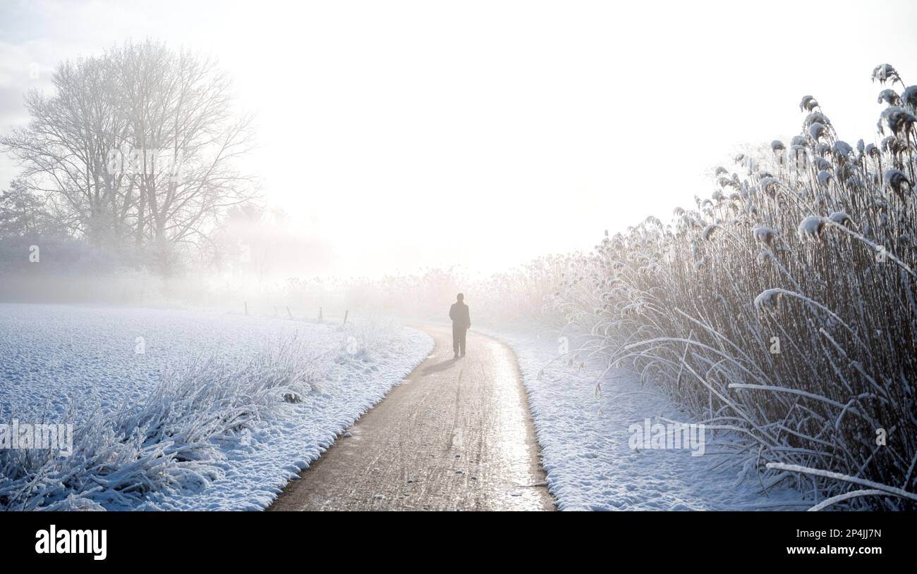 Amburgo, Germania. 06th Mar, 2023. Una donna cammina nella neve attraverso la riserva naturale di Boberger Niederung nel quartiere di Billwerder. Credit: Daniel Bockwoldt/dpa/Alamy Live News Foto Stock