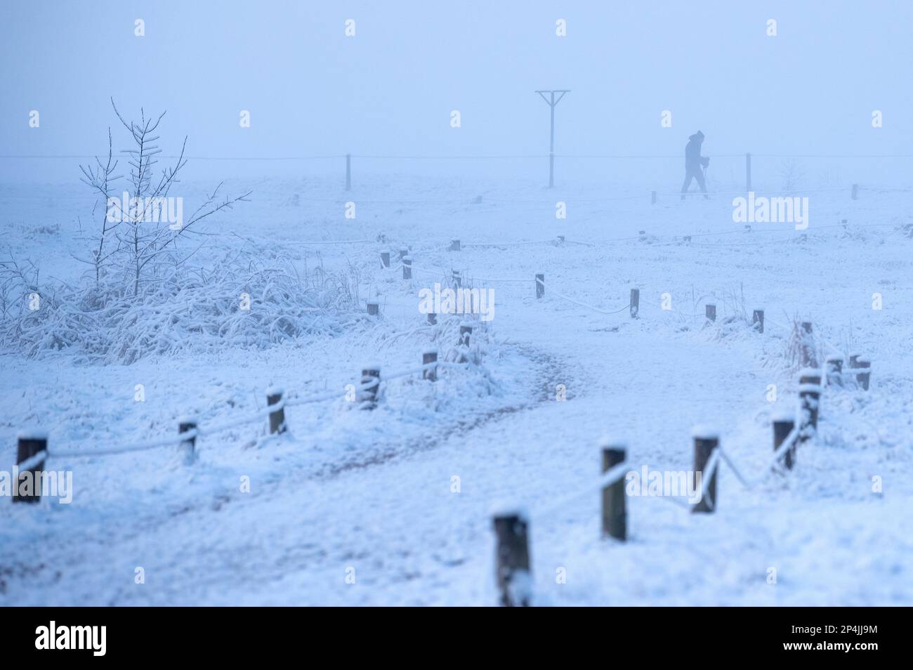 Amburgo, Germania. 06th Mar, 2023. Un uomo cammina nella neve attraverso la riserva naturale di Boberger Niederung al mattino nel quartiere di Billwerder. Credit: Daniel Bockwoldt/dpa/Alamy Live News Foto Stock