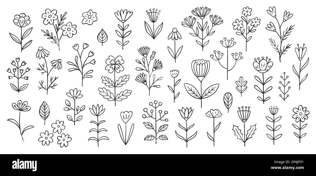 Illustrazione del doodle del fiore compreso le erbe differenti del campo. Linea disegnata a mano carina arte della flora primaverile - camomilla, trifoglio di mais, bluebell, giglio Illustrazione Vettoriale