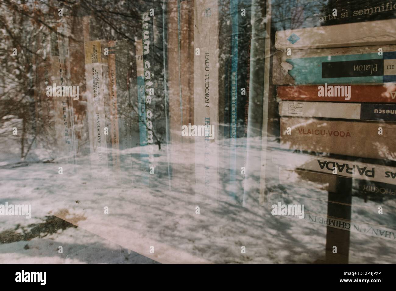 Libri su una mensola in un giardino botanico in un villaggio Foto Stock