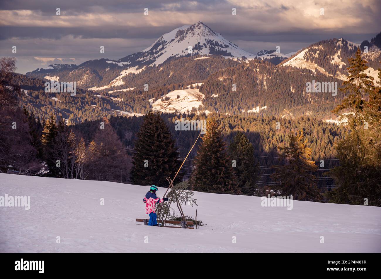 Bambino che gioca nella neve. Una ragazza asiatica che fa capanna di ramo di albero in inverno. Les Pleiades, Vaud, Svizzera. Foto Stock