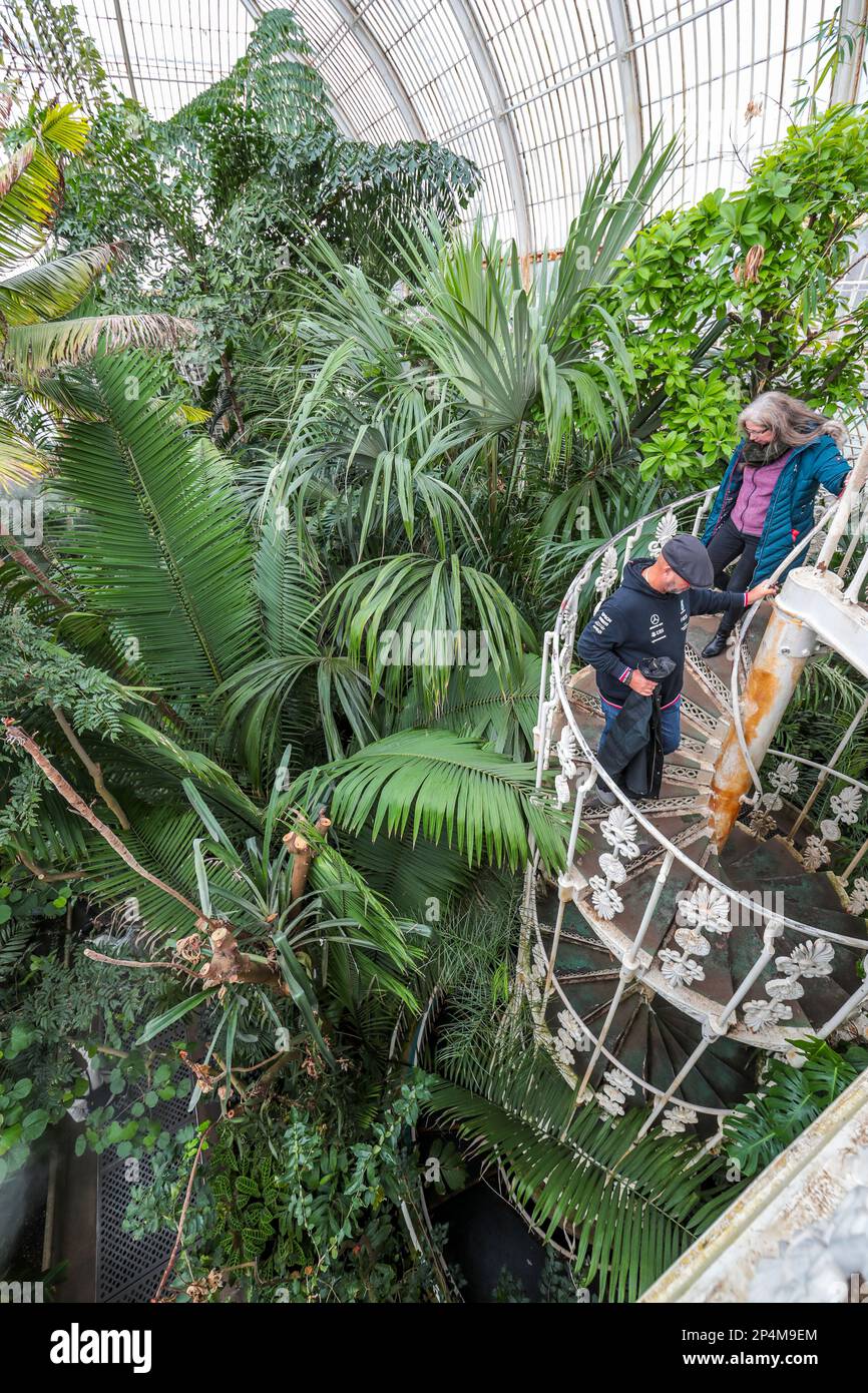 La Casa delle Palme, Kew Gardens, Londra Foto Stock