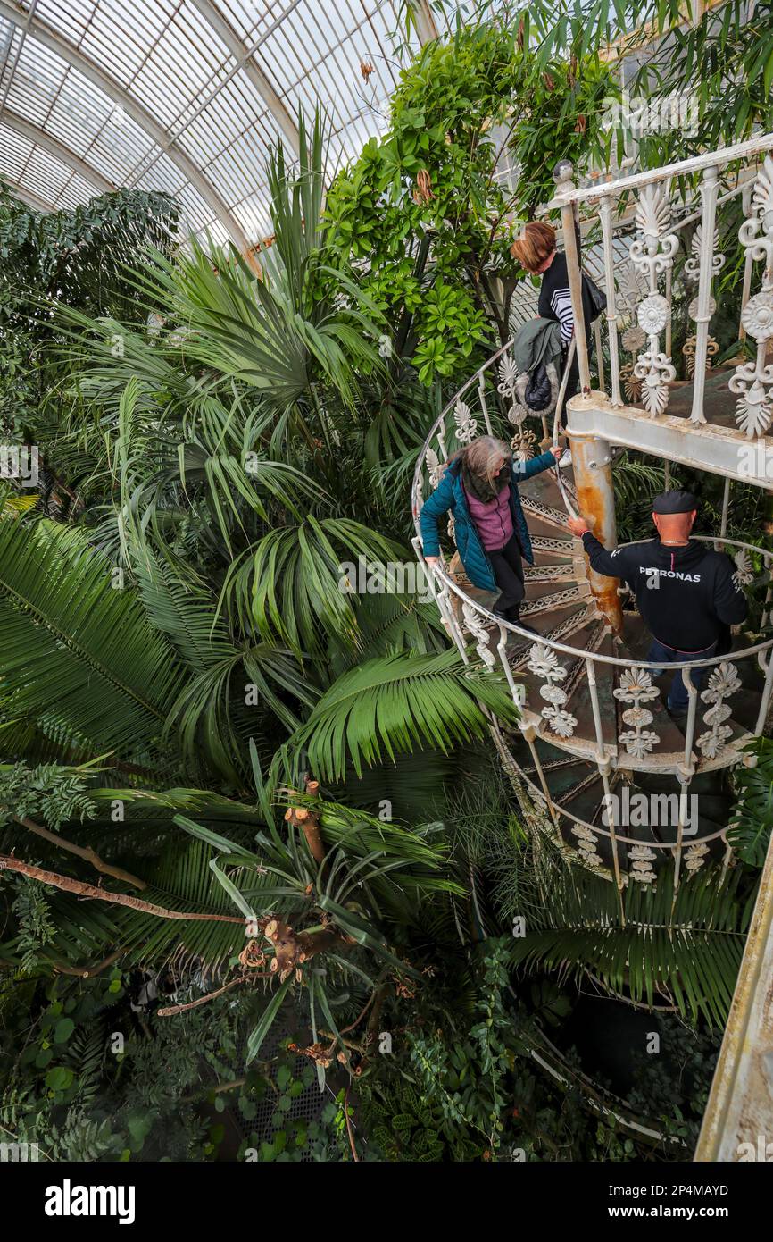 La Casa delle Palme, Kew Gardens, Londra Foto Stock