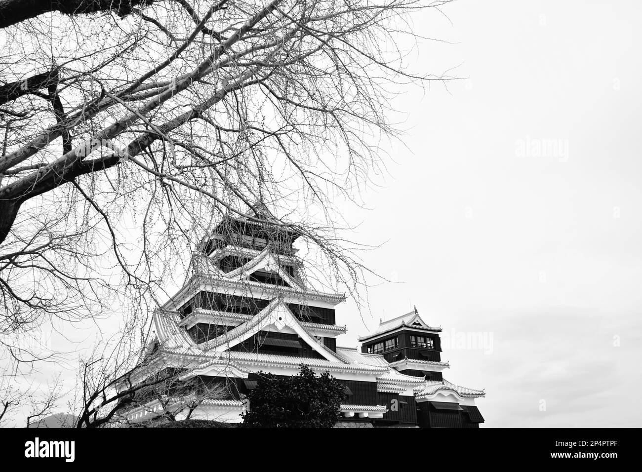 Il castello di Kumamoto distrutto dal fuoco ma il governatore ricostruisce e conserva in Giappone Foto Stock