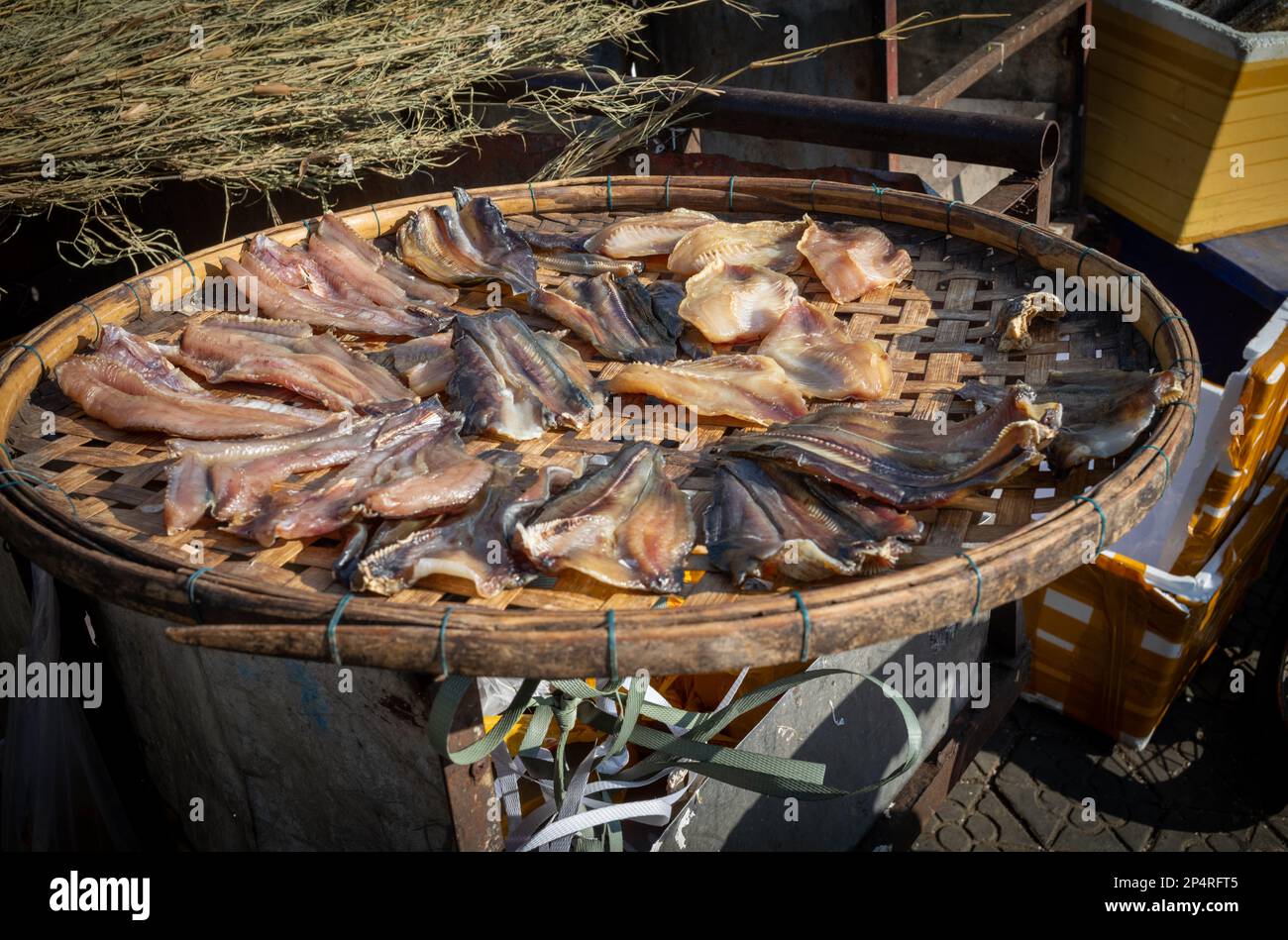 Fette di pesce che asciugano al sole su un cesto di vimini fuori del mercato centrale a Phnom Penh, Cambogia. Foto Stock Fette di pesce che asciugano al sole su un cesto di vimini fuori del mercato centrale a Phnom Penh, Cambogia. Foto Stock