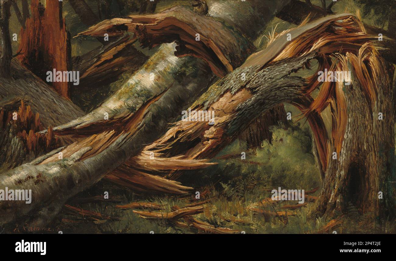 Alexandre Calame albero caduto 1839/1845 Foto Stock