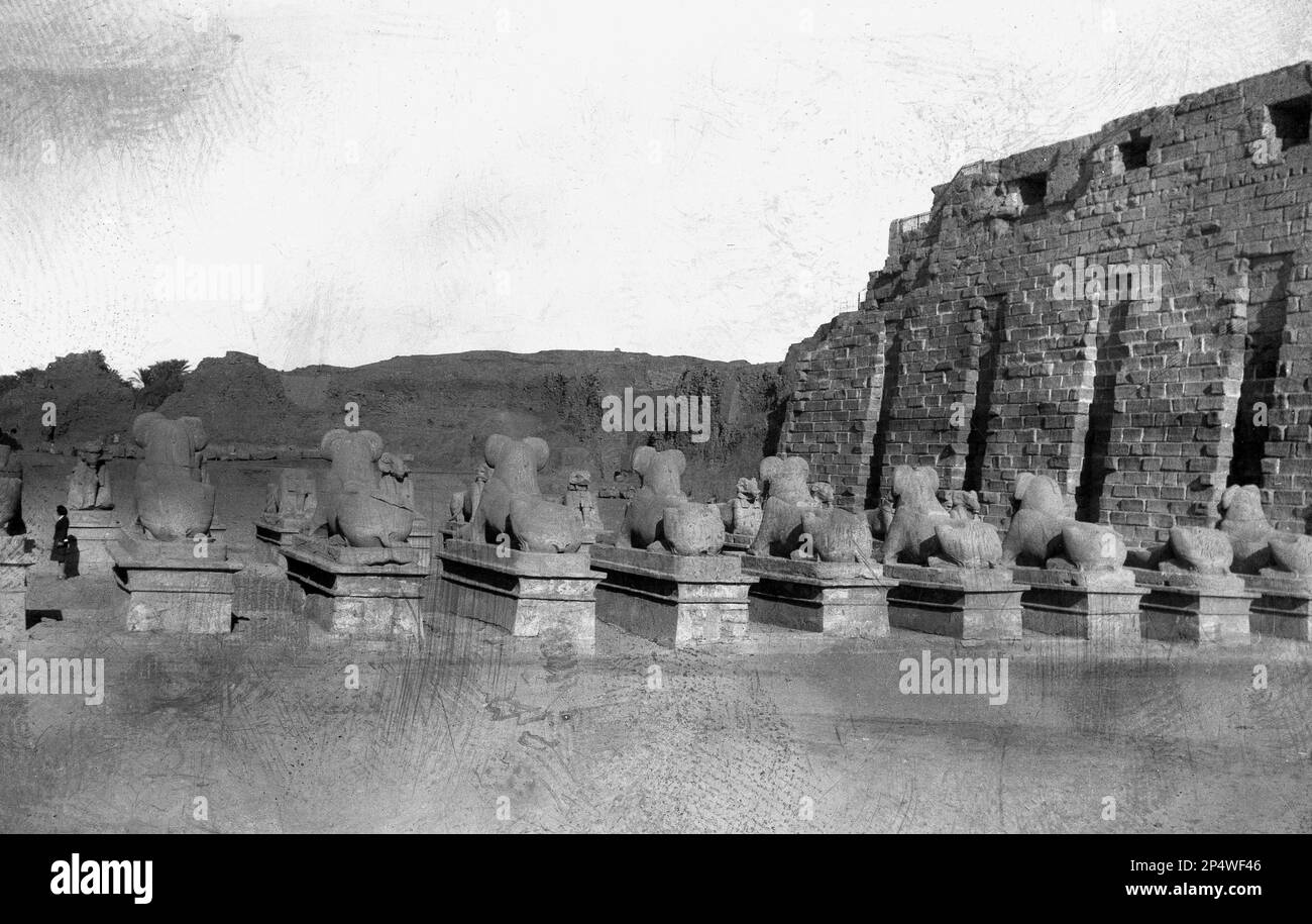 Circa 1940s, storico, una vista da dietro di file di statue di sfinge con testa di montone in pietra su plinti, Tempio di Karnak, Luxor Egitto. Un antico luogo di culto, considerato il più grande sito religioso del mondo, le rovine egiziane a Karnak si dice che siano il luogo dove il dio Amun si collegava con il popolo della terra. Foto Stock