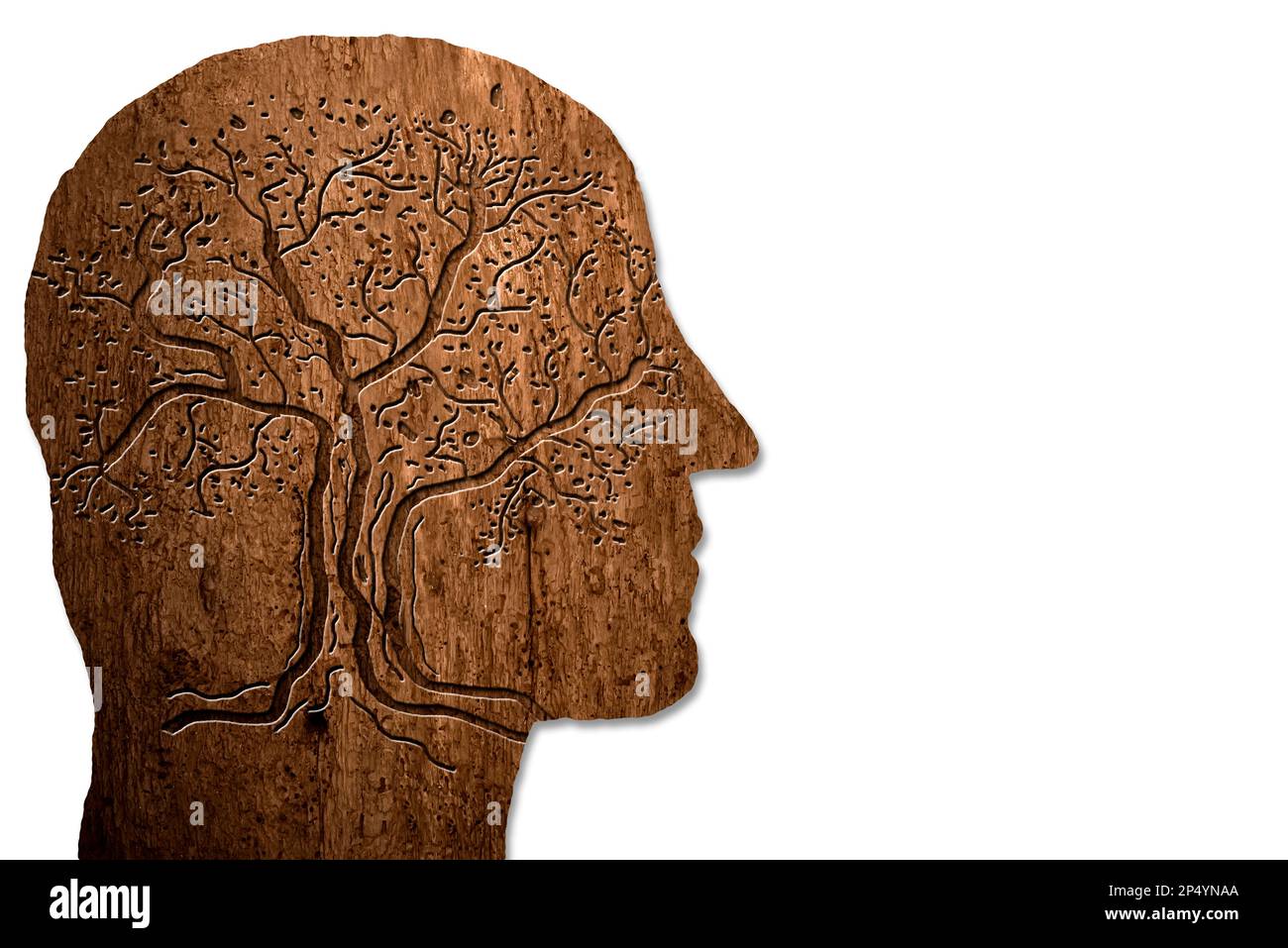 Opuscolo relativo alla salute mentale, mente sana. Silhouette della testa di un uomo. Disegni medici scientifici. Disegno pennello spesso a mano libera, testa su bianco Foto Stock