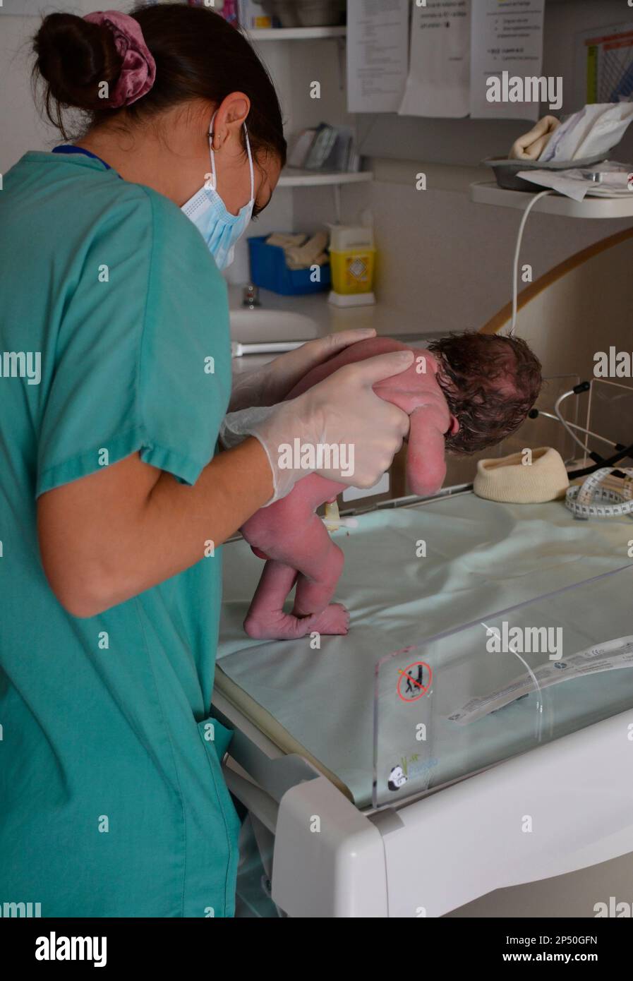 Ostetrica con un neonato in maternità, Vichy, Allier, Francia Foto Stock