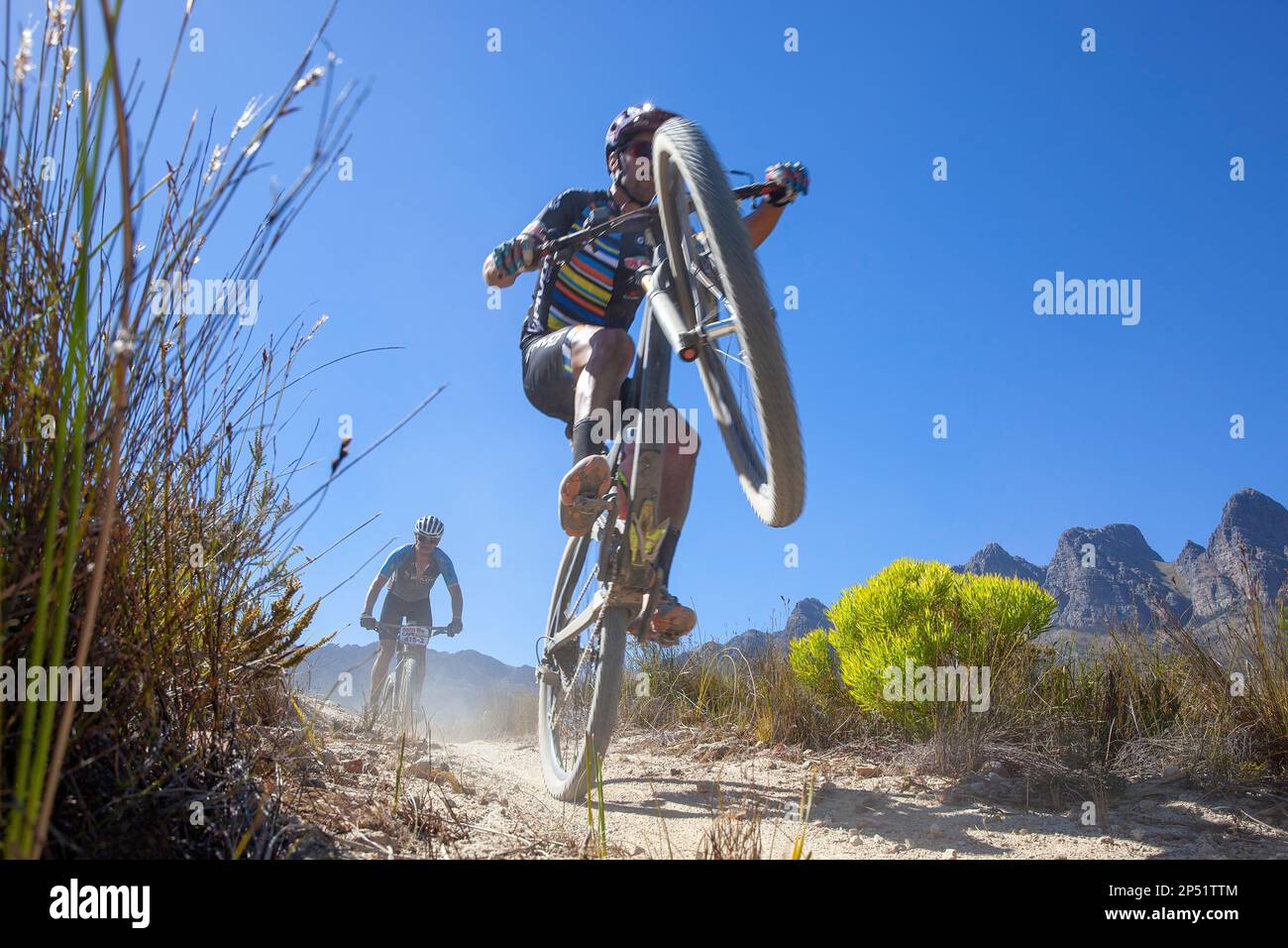 Mountain bike all'ABSA Cape Epic Foto Stock