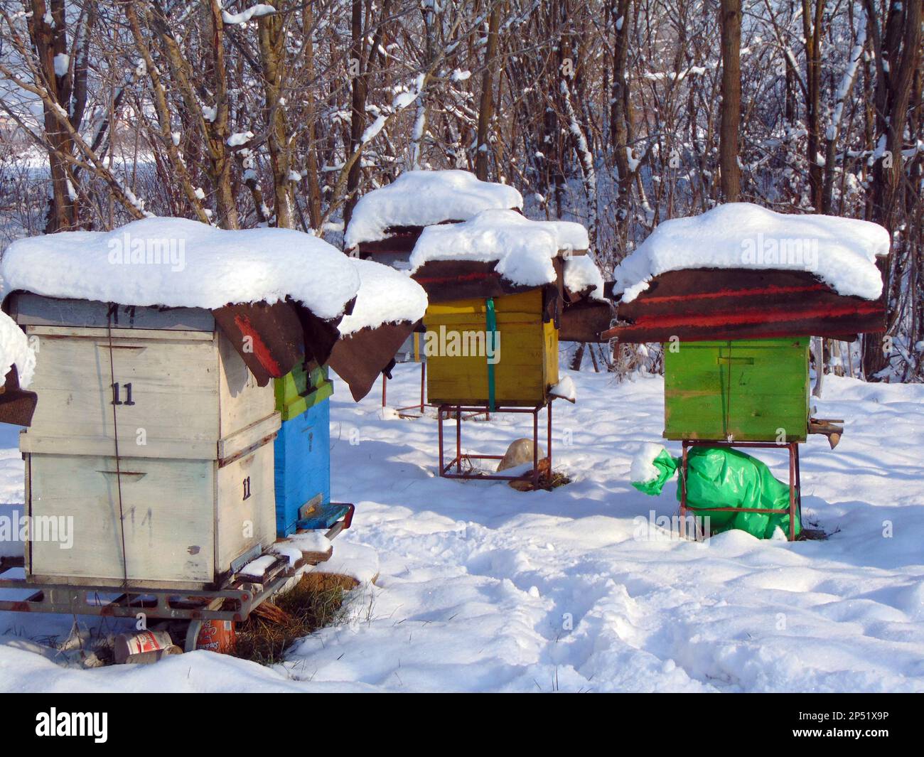 alveari d'api in inverno Foto Stock
