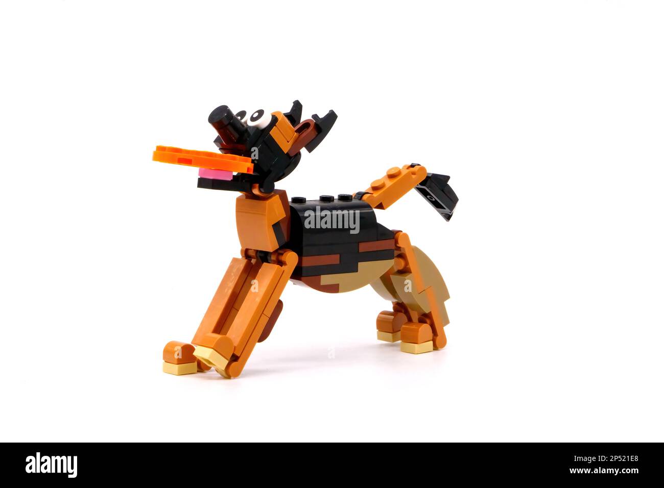 modello plastico di cane con frisbee in bocca realizzato dal lego giocattolo da costruzione Foto Stock