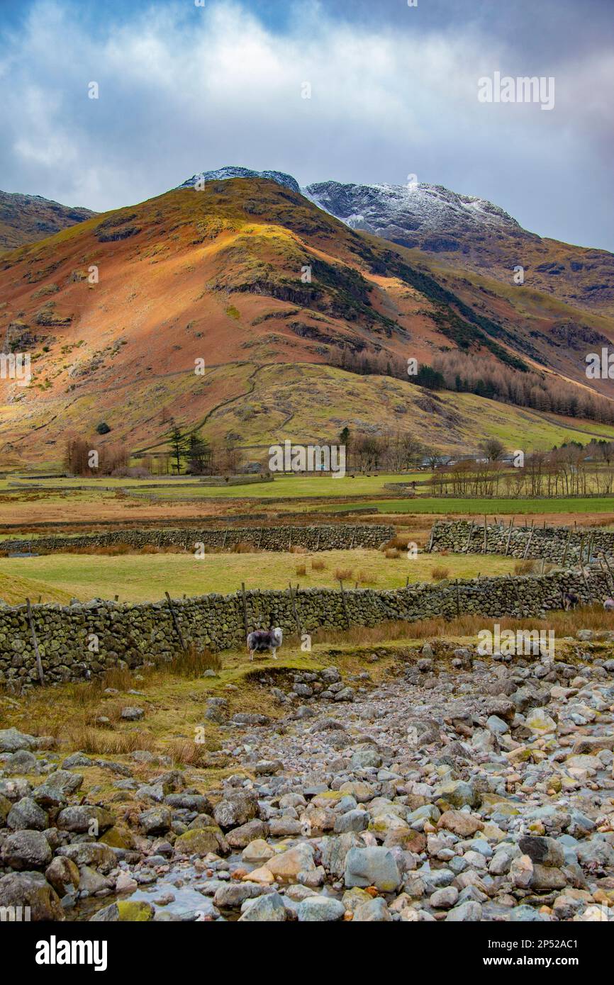 Splendido paesaggio di Bowfell, guardando la Mickleden Valley, vicino a Great Langdale, Lake District National Park, Cumbria, Regno Unito (UK) Foto Stock