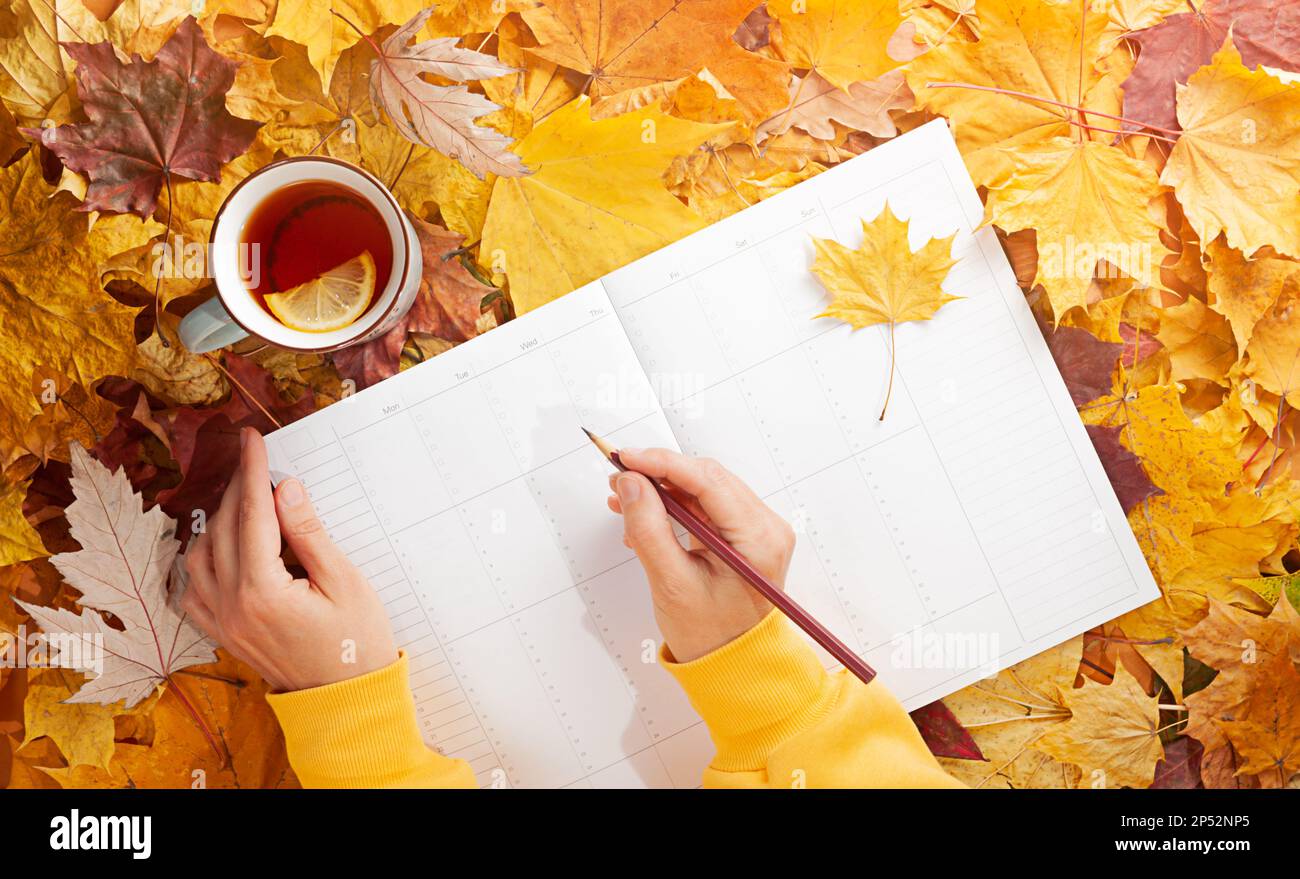 Autunno piatto Lay - colorful foglie autunnali, una tazza di tè con limone, pulizia settimana pianificatore, le mani femminili in una felpa gialla con cappuccio, matita in mano Foto Stock