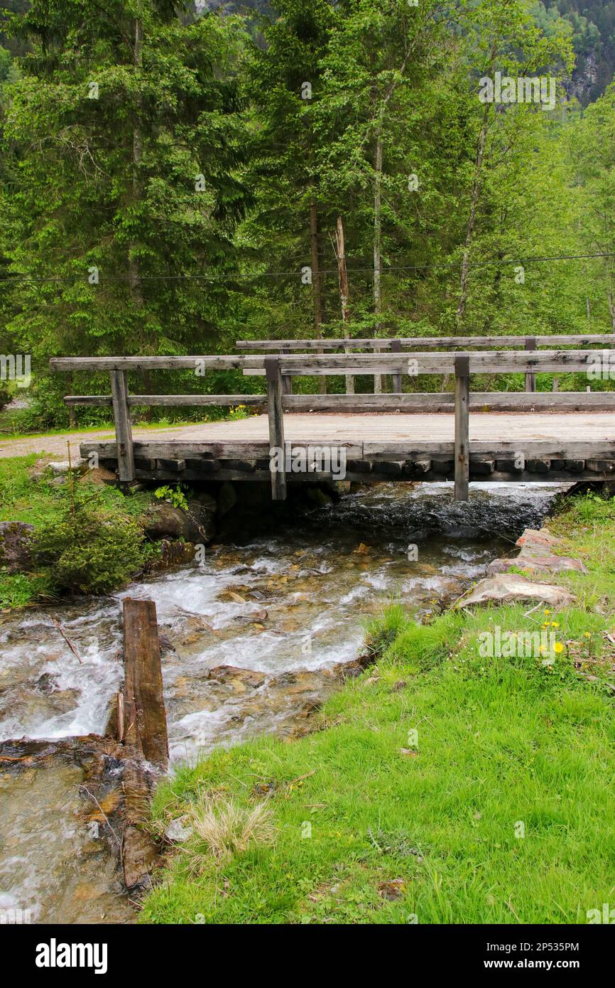 Percorso escursionistico acque selvagge, wilde Wasser, Stiria - Austria Foto Stock