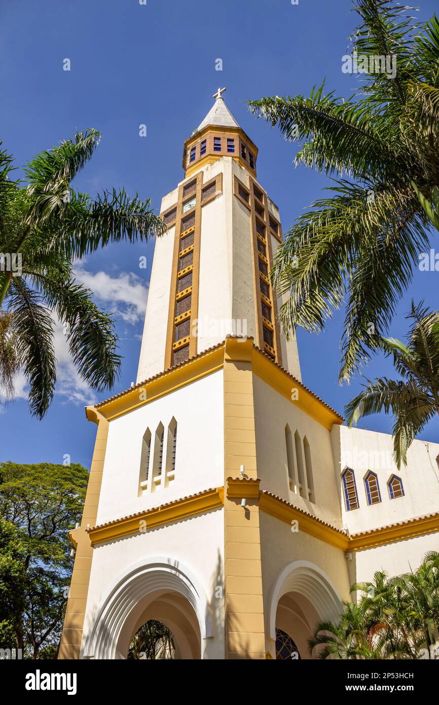 Goiania, Goias, Brasile – 05 marzo 2023: La cattedrale metropolitana di Goiânia, vista tra le foglie di palme da cocco. Formato verticale. Foto Stock