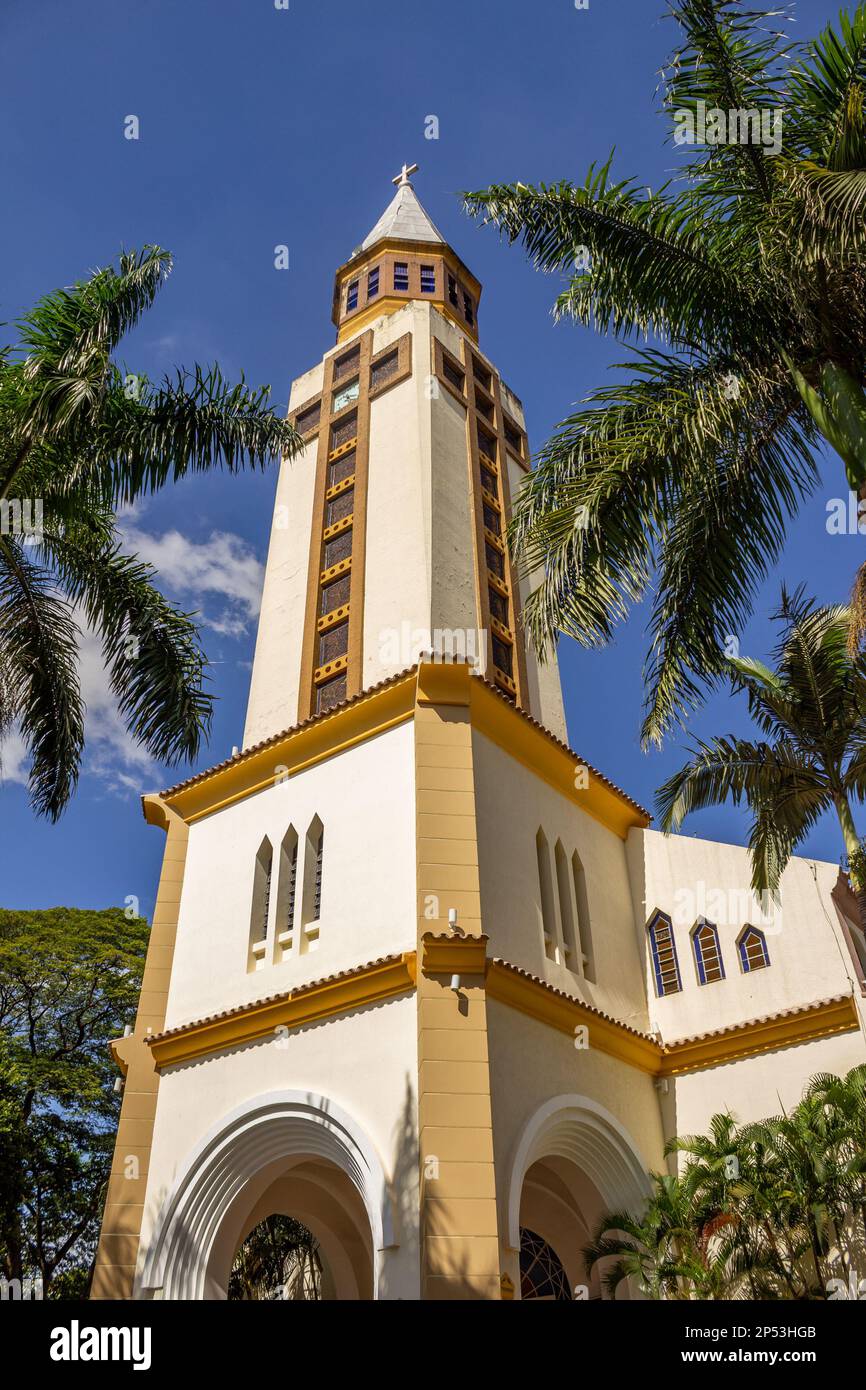 Goiania, Goias, Brasile – 05 marzo 2023: La cattedrale metropolitana di Goiânia, vista tra le foglie di palme da cocco. Formato verticale. Foto Stock