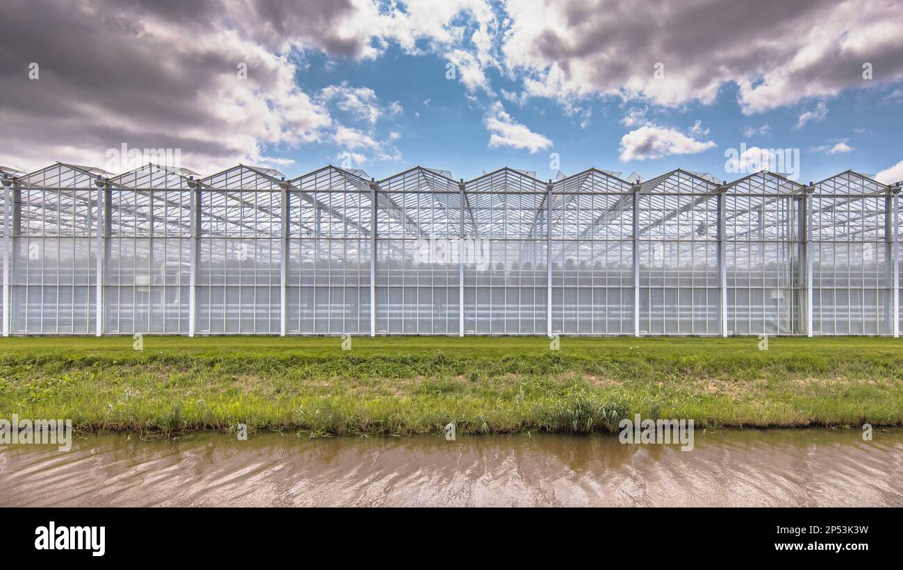 Esterni industriali a effetto serra nei Paesi Bassi. Industria alimentare con edifici giganti. Foto Stock