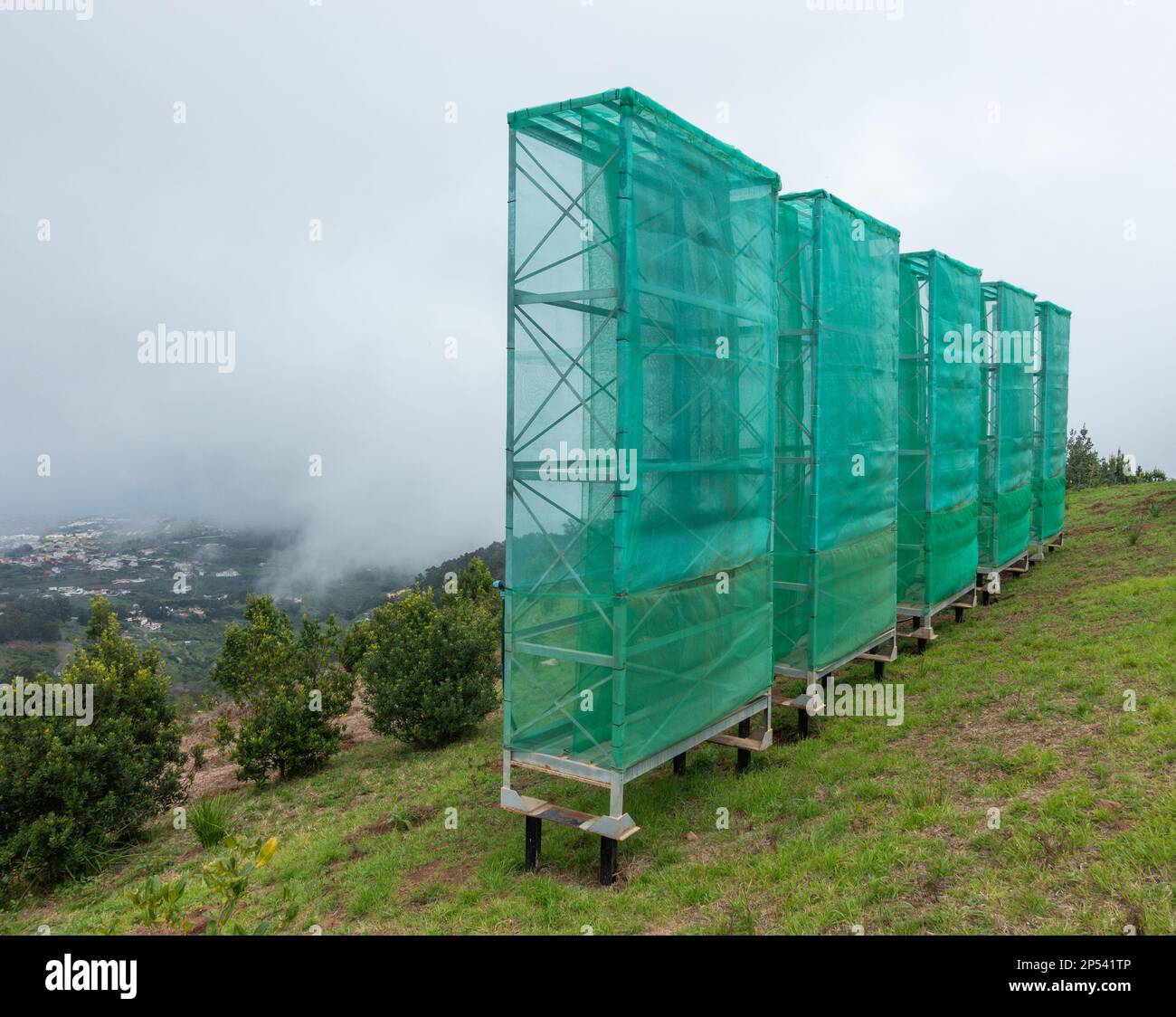 Raccolta di nubi, reti antinebbia, reti utilizzate per raccogliere l'acqua dalle nubi basse/nebbia/nebbia in montagna a Gran Canaria, Isole Canarie, Spagna Foto Stock