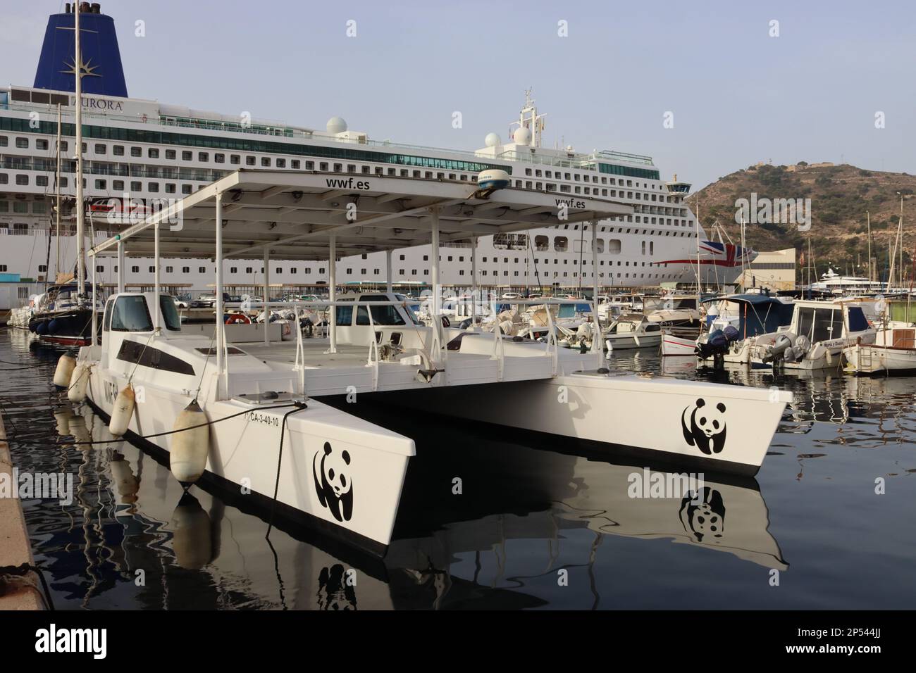 Il catamarano solare WWF dotato di un tetto a pannello solare per l'alimentazione di due motori elettrici di propulsione, ormeggiato a Cartagena Marina, Spagna, agosto 2022. Foto Stock