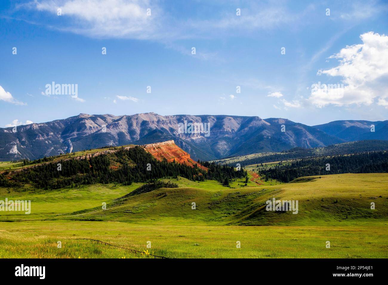 Montagne e colline verdi lungo l'autostrada Capo Joseph in un paesaggio estivo soleggiato del Wyoming Foto Stock