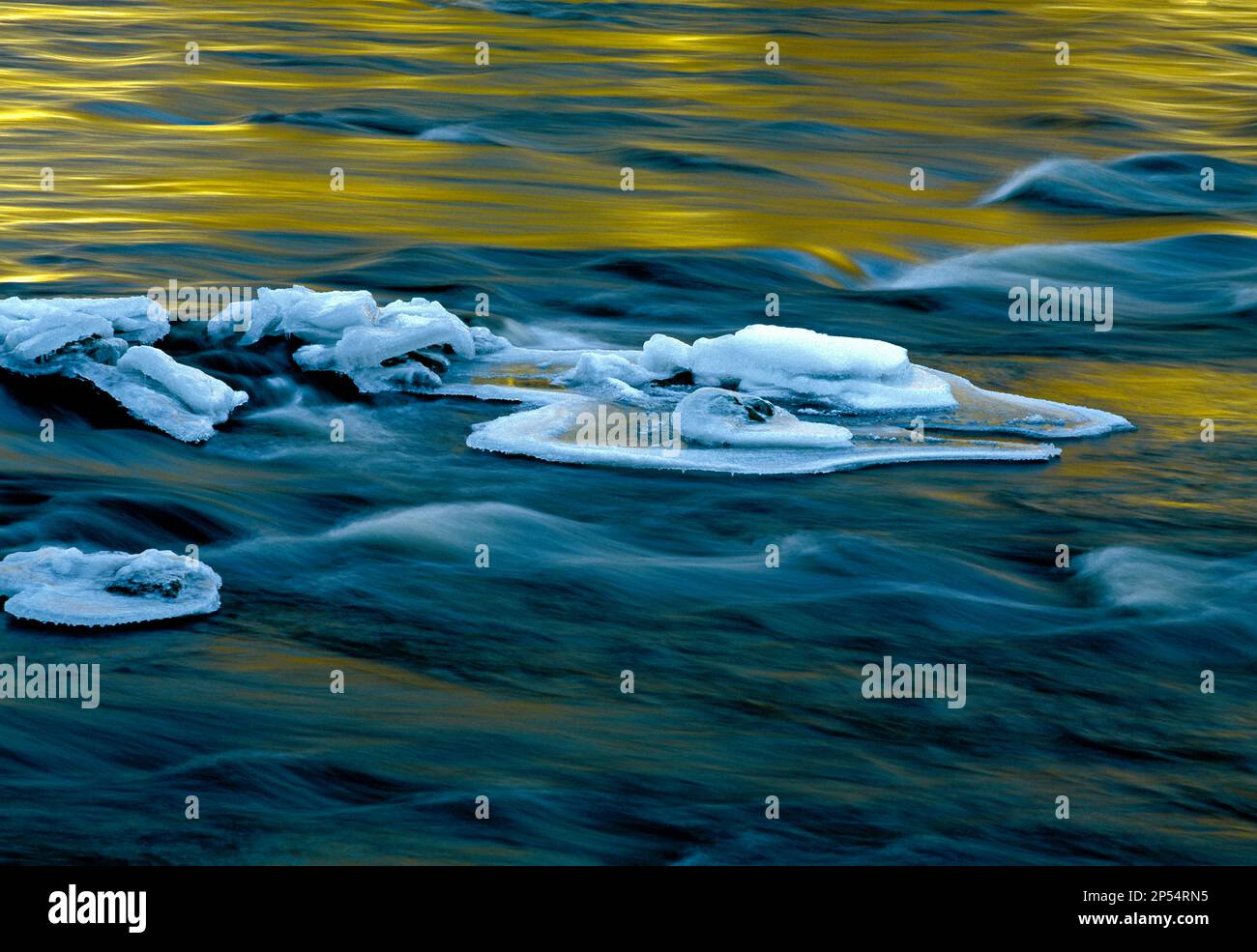Formazioni di ghiaccio sul fiume Lehigh, parzialmente congelato, nel Lehigh Gorge state Park, Pennsylvania Foto Stock