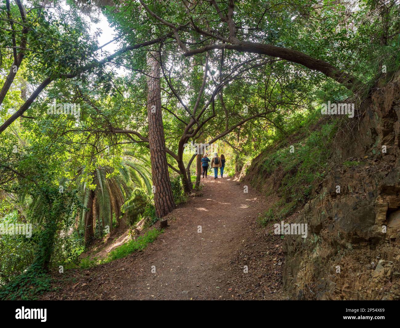 Tre persone che camminano lungo i sentieri del giardino botanico di la Concepcion a Malaga. Foto Stock