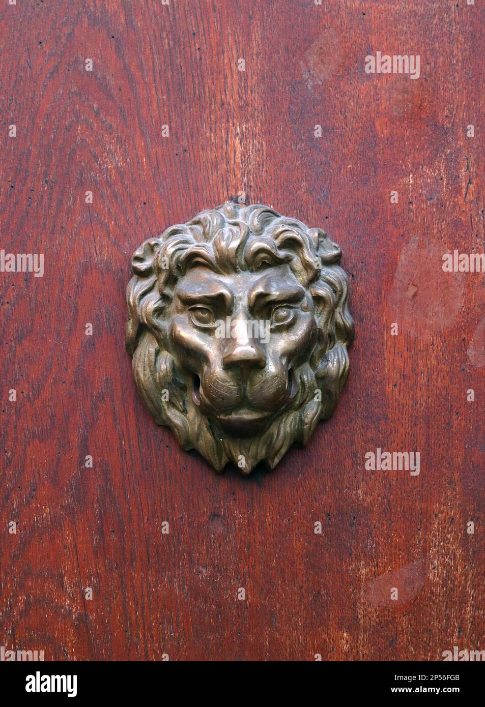 Testa di leone in bronzo su tessuto di legno rosso. Testa di leone sulla porta rossa. Foto Stock