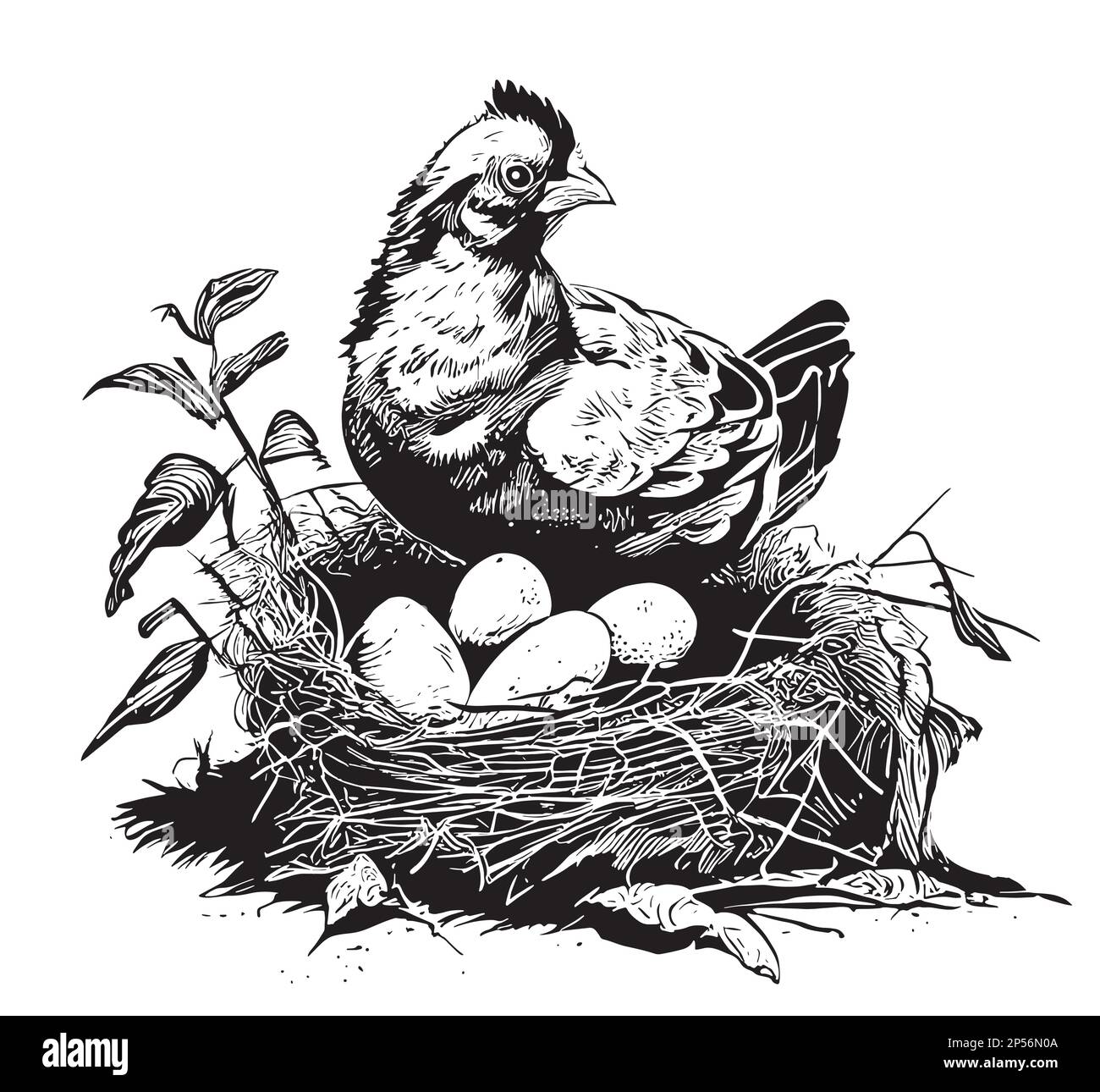 Gallina seduta nel nido con uova disegno a mano illustrazione Illustrazione Vettoriale