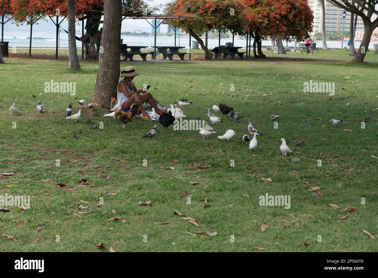 Una donna che ha un buon significato nel Kapiolani Beach Park, Honolulu, Oahu, Hawaii fa una pausa dal nutrire i molti uccelli invasivi non nativi del parco. Foto Stock