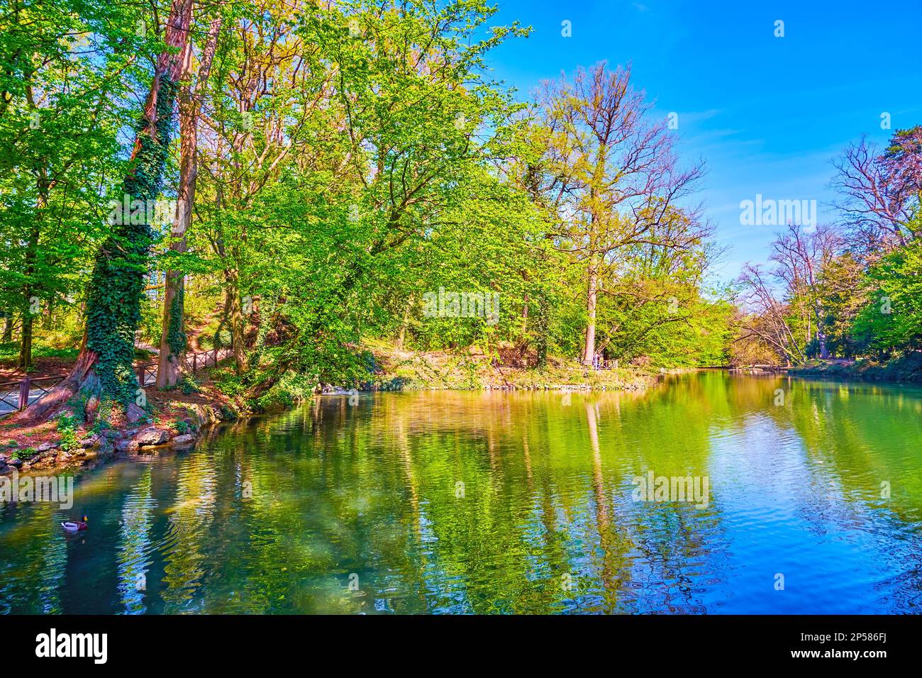 Lussureggianti Giardini reali di Monza intorno al laghetto, Italia Foto Stock